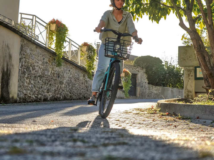 La promotion 2026 de l’Arkansas Global Cycling Accelerator