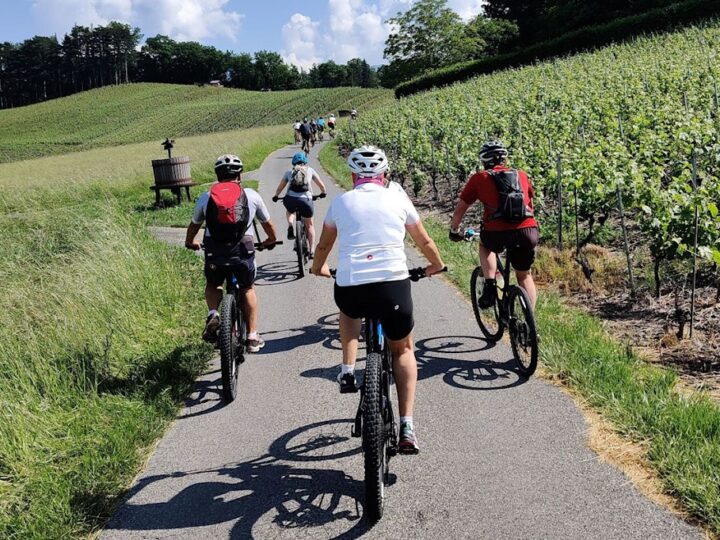 La FFC célèbre la journée mondiale de la bicyclette