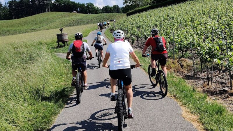 La FFC célèbre la journée mondiale de la bicyclette