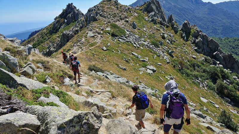 Strava confirme l’essor de la randonnée