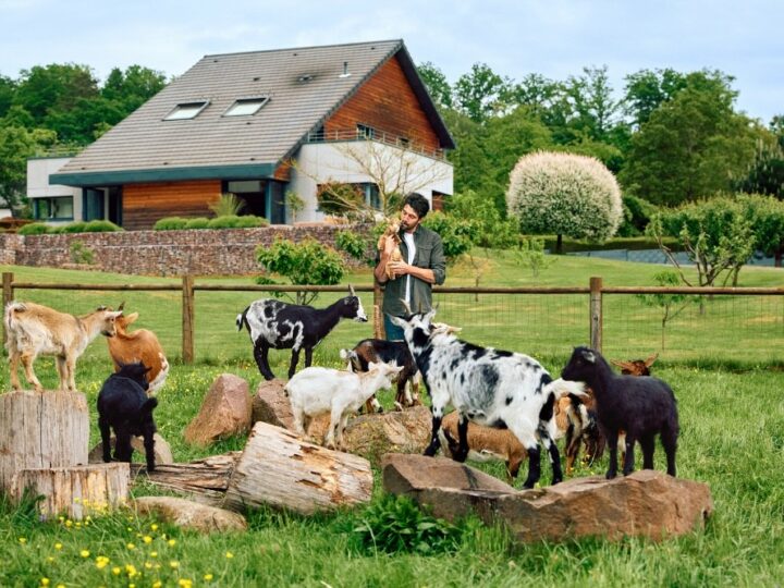 Thibaut Pinot ouvre les portes de sa ferme sur Airbnb